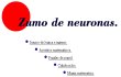 Zumo de neuronas